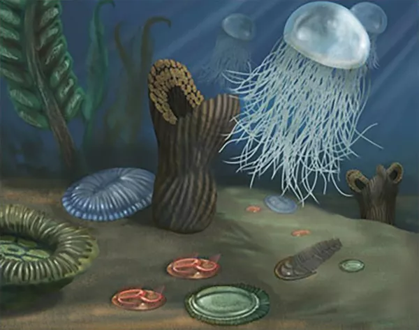 En manet och andra djur på havsbottnen. Illustration.
