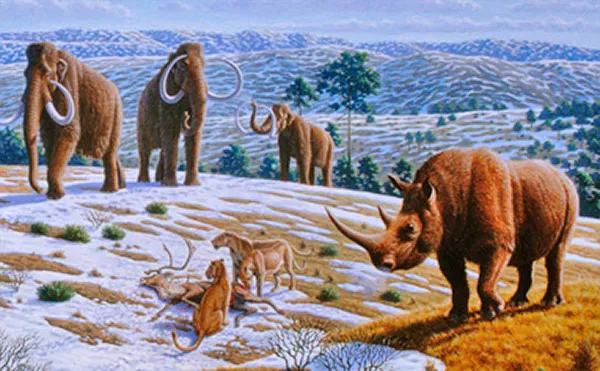 Målning av mammutar, noshörning och lejon.