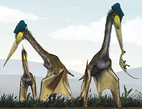 Tre stora djur står på marken med vingarna nedfällda. Ett djur har en liten dinosaurie i näbben. Illustration.