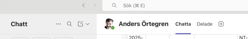Skärmdump från Teams.