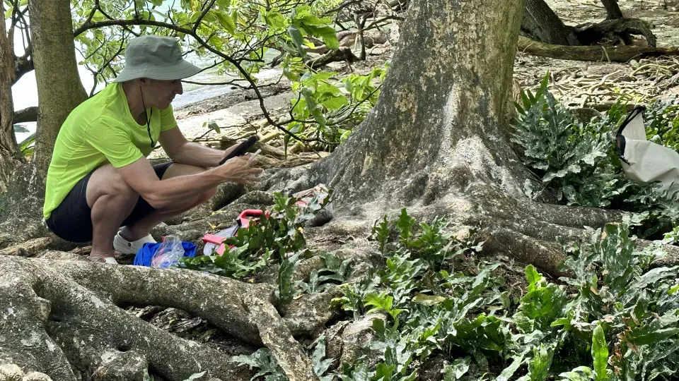 A person is sitting next to a large tree. Photo.