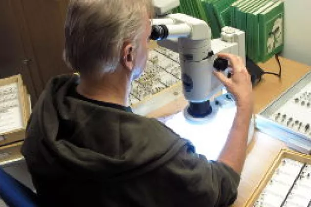 En person sitter och tittar i mikroskop. Foto.