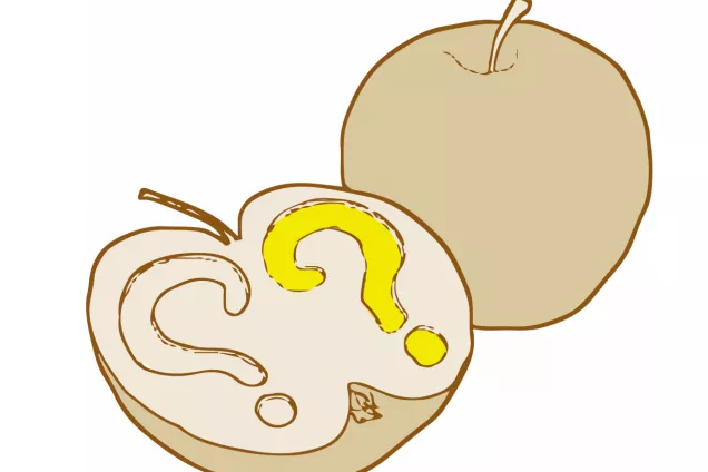 Ett helt och ett halvt äpple med frågetecken. Illustration.