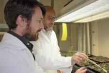 Två personer studerar växter i ett laboratorium. Foto.