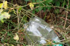 Plastflaska i naturen. Foto.